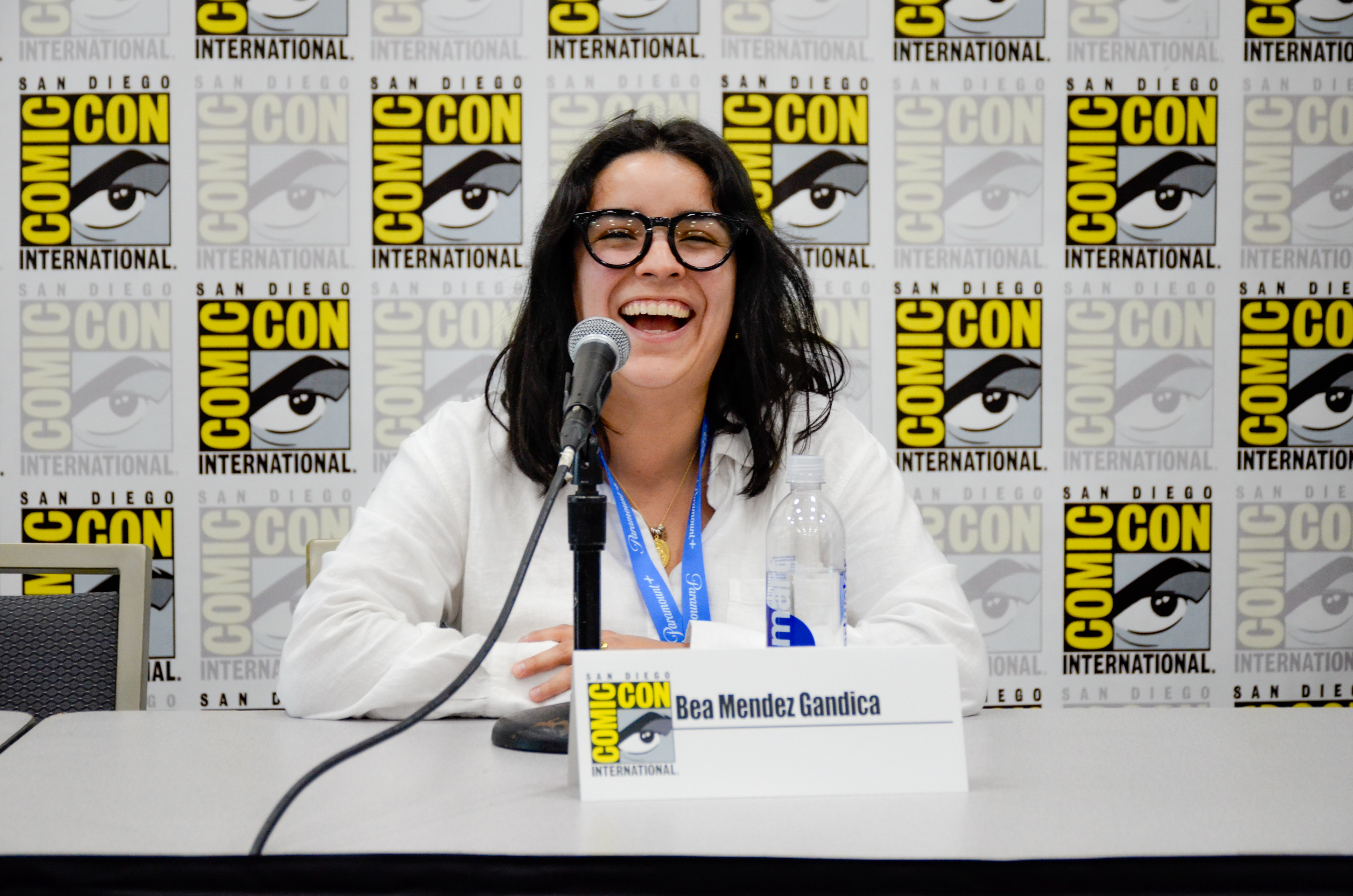 San Diego Comic-Con Panel